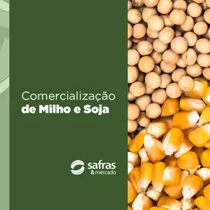 Imagem do curso Curso Comercialização de Milho e Soja – Safras e Mercado