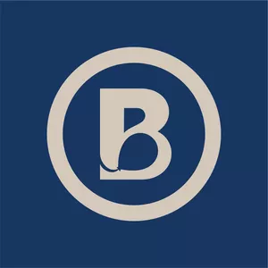 Imagem de capa para o Curso online Arranjos e Balloon in Boxes 