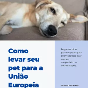 Imagem de capa para o Ebook Leve seu Pet para a Europa com Segurança: Guia Completo do Transporte Aéreo para Tutores em Processo de Imigração