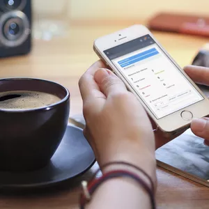 Imagem de capa para o Curso online Curso de Perfex CRM por Assinatura