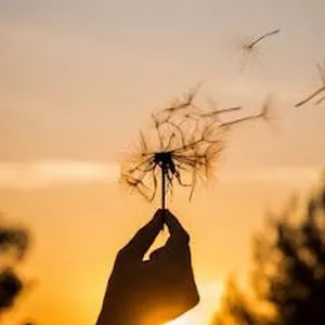 Imagem de capa para o Ebook "A Arte da Gratidão: Transforme Seu Dia a Dia com a Prática da Gratidão"