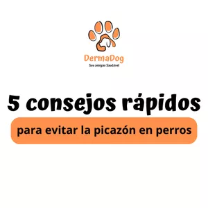 Imagem de capa para o Ebook 5 Consejos rápidos para evitar la picazón en perros