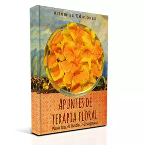 Imagen de portada para Curso online FLOR PERINATAL