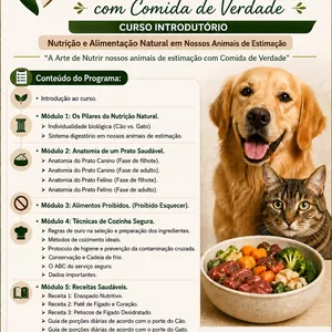 Imagem do curso Alimentação saudável: A Arte de Nutrir Nossos Animais de Estimação com Comida de Verdade 