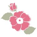 Wild Rose Medicine School logo