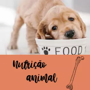 Imagem de capa para o Ebook Nutrição animal