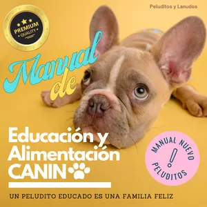 Imagen de portada para Ebook Manual de Educación y Alimentación del Cachorro