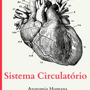 Imagem de capa para o Ebook Anatomia Humana: Sistema Circulatório