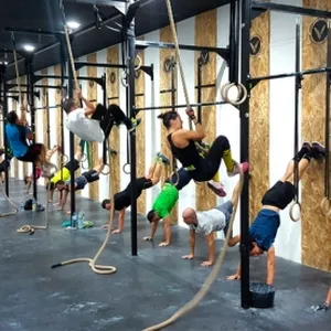 Imagem de capa para o Curso online Instrutor de Cross Training e Treinamento Funcional