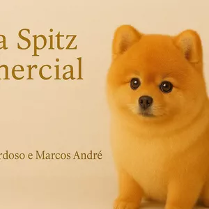 Imagem de capa para o Curso online Tosa Spitz Comercial