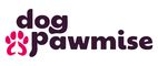 Dog Pawmise School