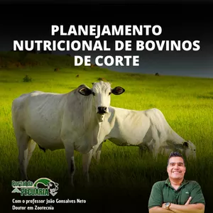 Imagem do curso Planejamento nutricional de bovinos de corte