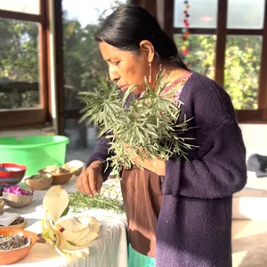 Imagen de portada para Curso online Introduccion Herbolaria y Medicina Tradicional Mexicana ( maya) 