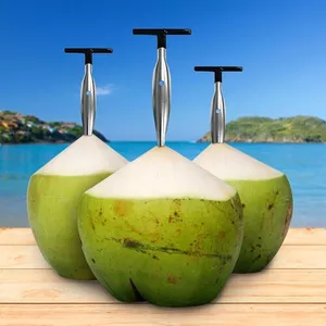Imagem de capa para o Curso online CURSO DE AGUA DE CÔCO E DERIVADOS 