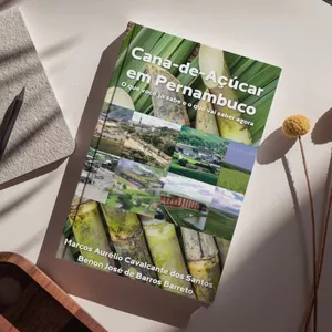 Imagem de capa para o Ebook Cana-de-Açúcar em Pernambuco