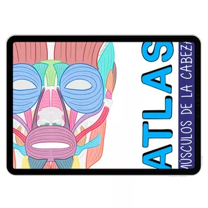 Imagen de portada para Ebook Atlas de músculos de la cabeza Digital 