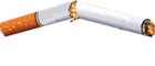 Smokenders Digital