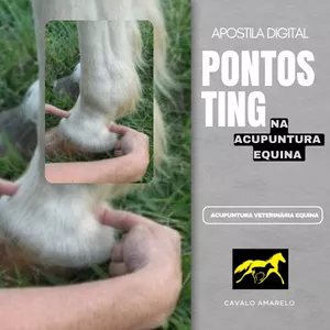 Imagem de capa para o Ebook Apostila digital - Pontos Ting na acupuntura equina