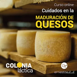 Imagen de portada para Curso online Cuidados en la maduración de quesos