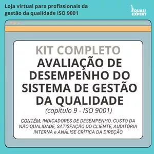 Imagem de capa para o Curso online Kit Completo - Avaliação de Desempenho do Sistema de Gestão da Qualidade 
