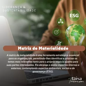 Imagem de capa para o Ebook Matriz de materialidade