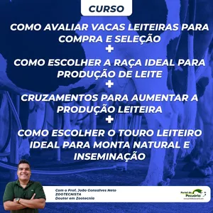 Imagem de capa para o Curso online Curso Como avaliar vacas leiteiras para compra e seleção