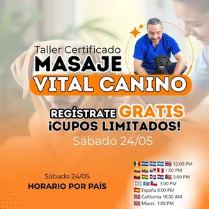 Imagen de portada para Curso online Certificación Taller Masaje Vital Canino