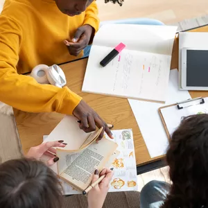 Imagem de capa para o Curso online Projetos Educacionais e Temas Transversais