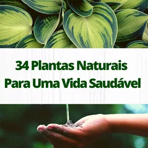 Imagem principal do produto 34 Plantas Naturais Para Uma Vida Saudável