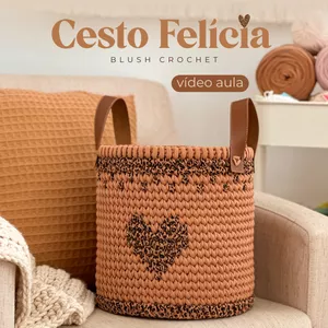 Imagem de capa para o Curso online Cesto Felícia - Vídeo Aula