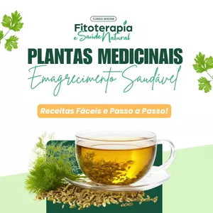 Imagem de capa para o Curso online Plantas Medicinais Para Emagrecimento Saudável