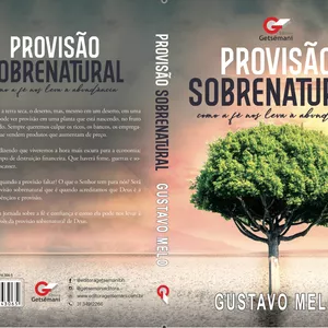 Imagem de capa para o Ebook Provisão Sobrenatural