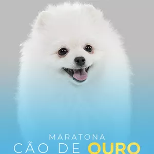 Imagem de capa para o Curso online Maratona Cão de Ouro | Passeio sem stress!