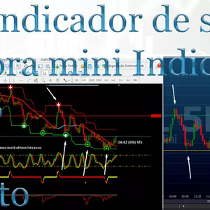 Imagem de capa para o Curso online Indicador de sinais  pra mini Índice Ibovespa 