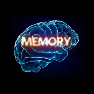 Imagen de portada para Curso online MEMORY PULSE PRO