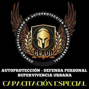 Imagen de portada para Curso online Capacitación especial