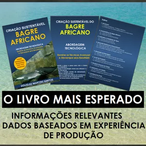 Produção Intensiva do Bagre Africano