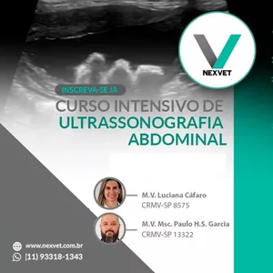 Imagem de capa para o Curso online Curso Intensivo de Ultrassonografia Abdominal Segunda Edição