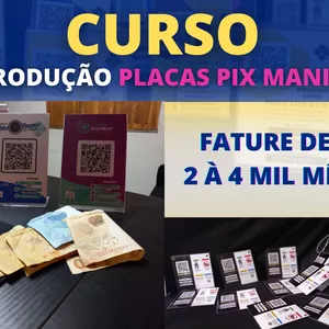 Imagem de capa para o Curso online Cursos de Placas Pix Mania
