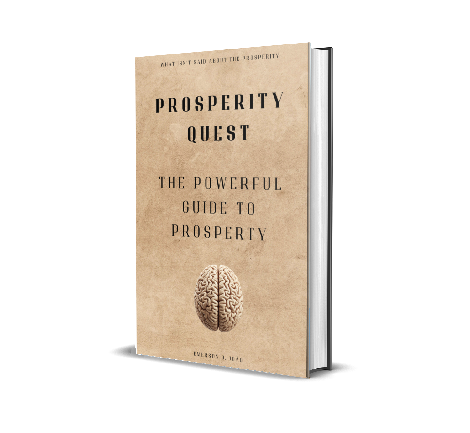 Prosperity Quest - The Powerful Guide