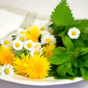 Imagen de portada para Ebook MAS DE 500 REMEDIOS NATURALES 