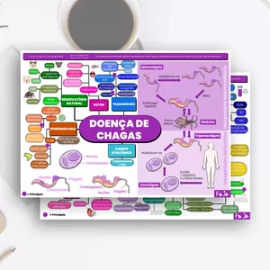 Imagem de capa para o Curso online Mapa Mental: Doença de Chagas (Parasitologia)