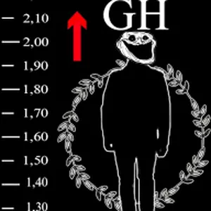 Imagem de capa para o Ebook MÉTODO GH