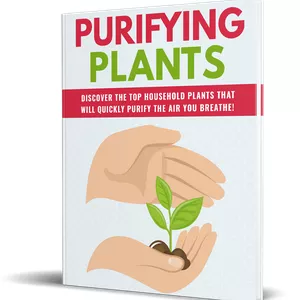 Image de couverture pour le Ebook Plantes Purifiantes