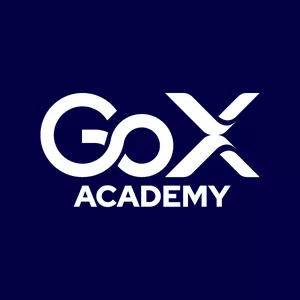 Imagem de capa para o Curso online Go X Academy 50%