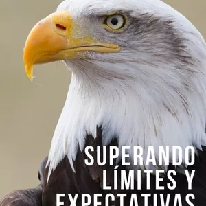 Imagen de portada para Ebook Superando Límites y Expectativas