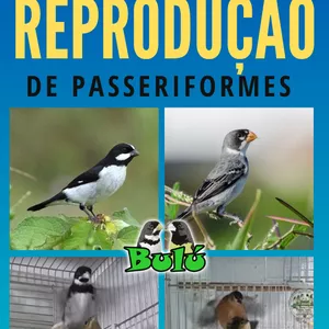 Curso CURSO REPRODUÇÃO DE PÁSSAROS EM AMBIENTE DOMÉSTICO