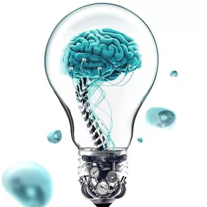 Imagem de capa para o Ebook Despertando os sentidos internos