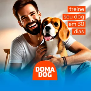 Imagem de capa para o Curso online Método Doma Dog