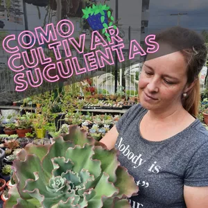 Imagem do curso Como Cultivar Suculentas